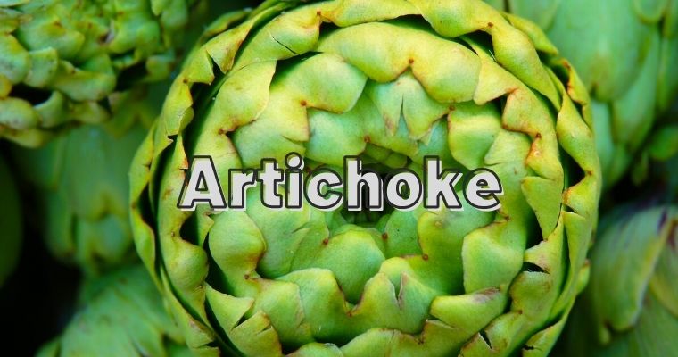 Artichoke as alternative for fennel bulb