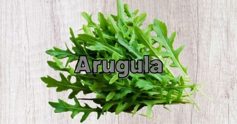 Arugula as substitute for parsley 