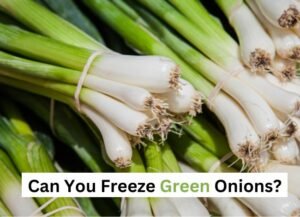 Can-You-Freeze-Green-Onions