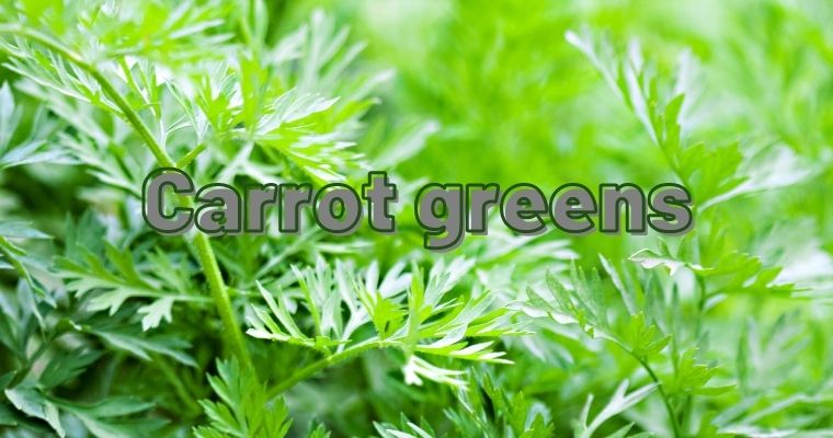 Carrot greens as substitute for parsley