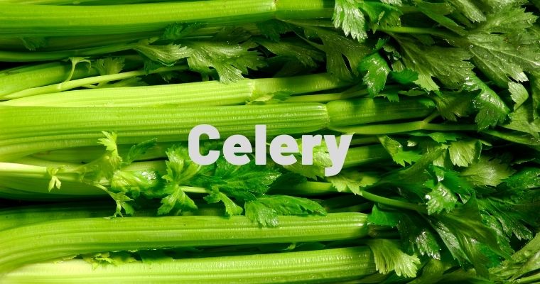 Celery as substitute for fennel bulb