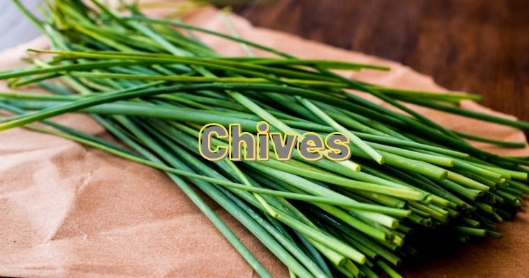 Chives as substitute for parsley