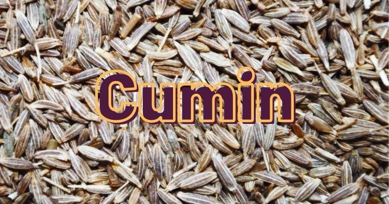 Cumin as substitute for Fennel