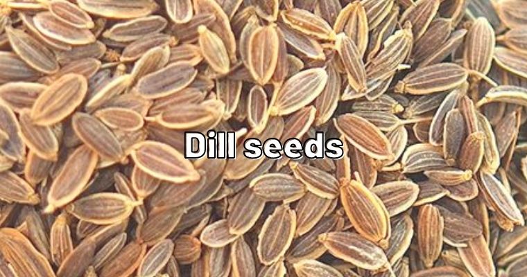 Dill seeds as substitute for fennel