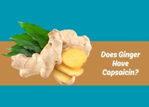 Does-Ginger-Have-Capsaicin