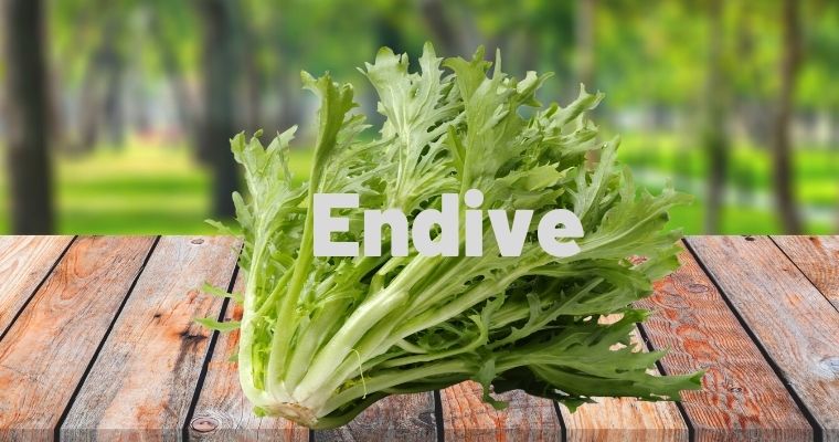 Endive as substitute for parsley