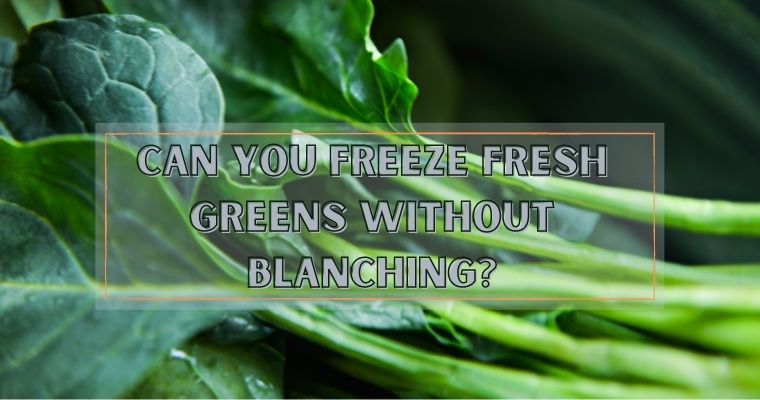 Can You Freeze Fresh Greens Without Blanching