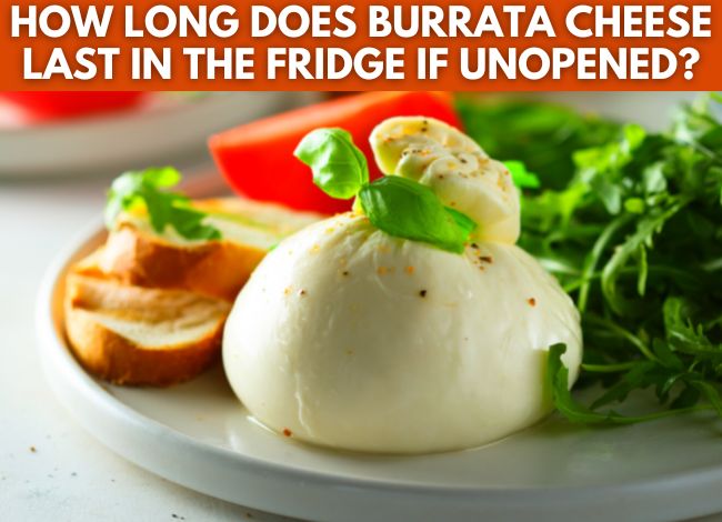 How long can I preserve Burrata cheese in a refrigerator