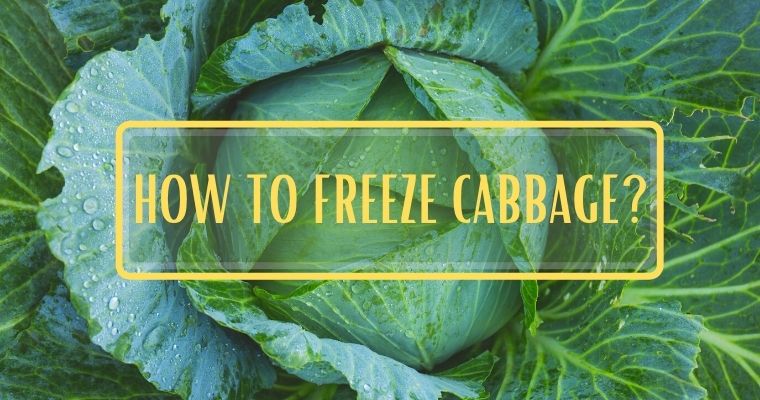 Can I freeze cabbage