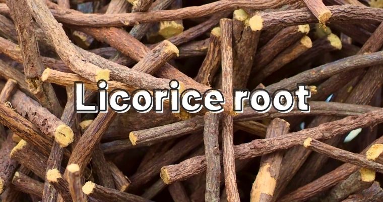 Licorice root as alternative for Fennel