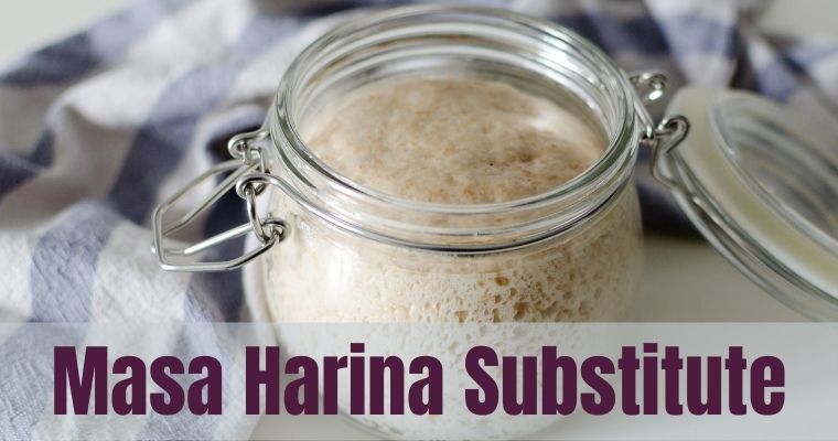 Substitute For Masa Harina