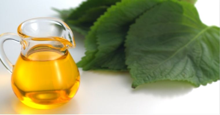 Perilla oil as substitute for sesame oil