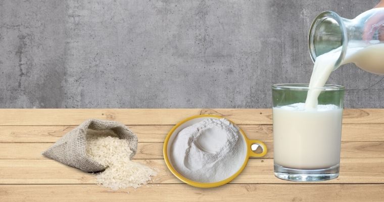 Rice Milk Powder as alternative for powder milk