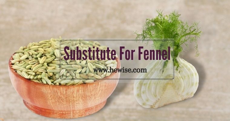 Substitute For Fennel seeds