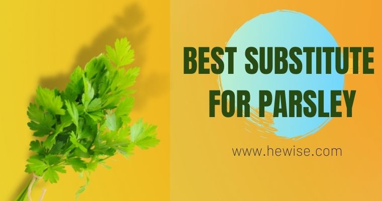 Best Substitute for parsley