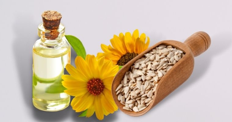 Sunflower Oil as substitute for vegetable oil