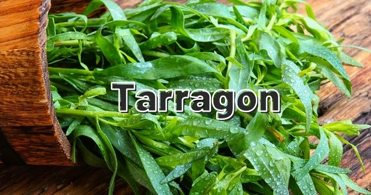 Tarragon as substitute for parsley