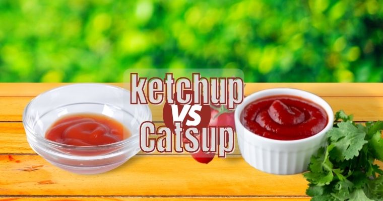 Catsup vs ketchup