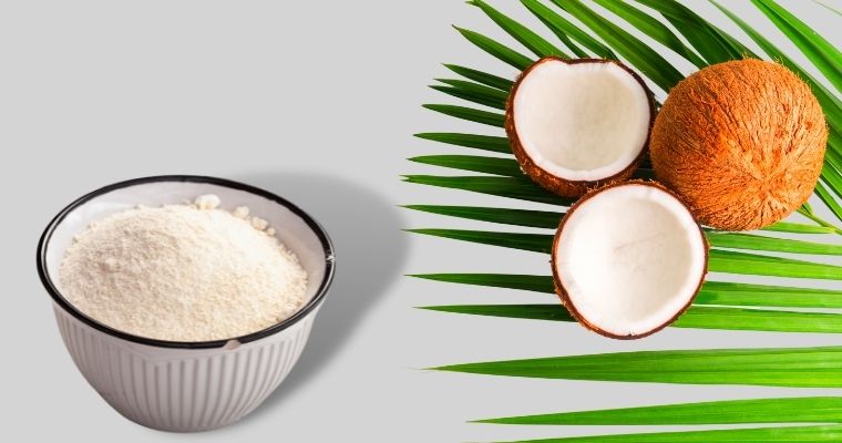 Coconut flour substitute